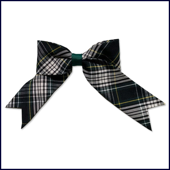 Plaid 61