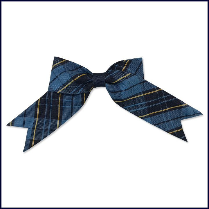 Plaid 678