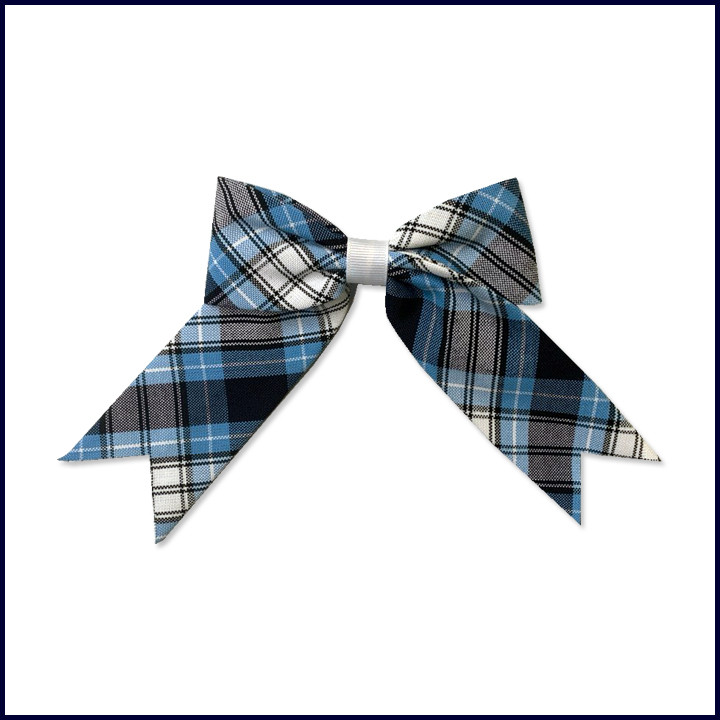 Plaid 686