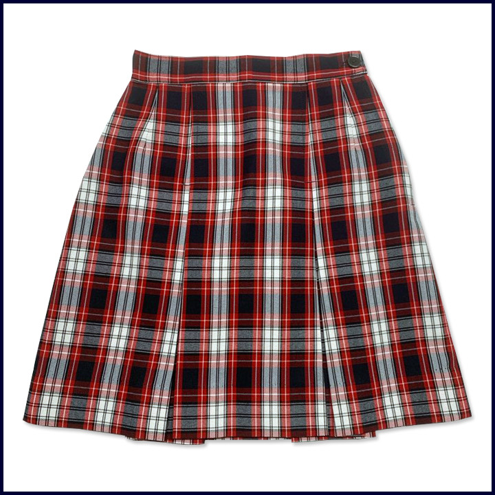 2-Pleat Skirt