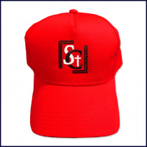 Baseball Hat with Embroidered Logo