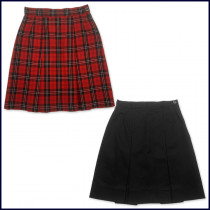 2-Pleat Skirt