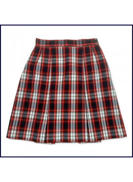 2-Pleat Skirt