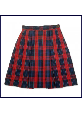 2-Pleat Skirt