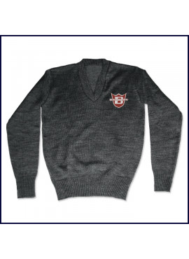 V-Neck Pullover Sweater with Embroidered Logo