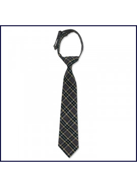Plaid Prep Tie