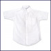 Oxford Shirt: Short Sleeve